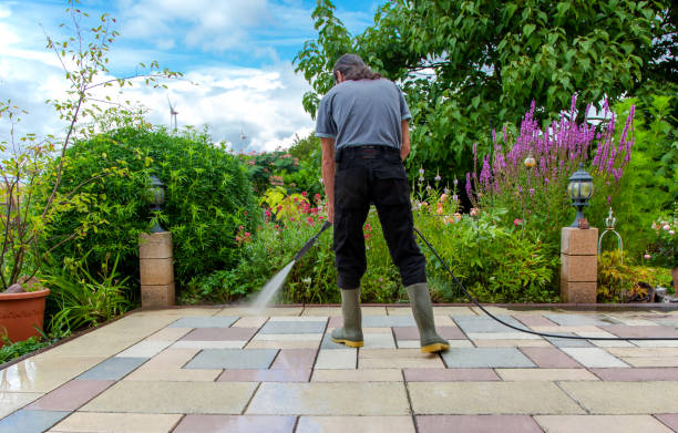 Best Pre-Holiday Cleaning  in Metzger, OR
